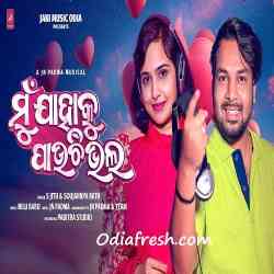 Mu Jahaku Pauchi Bhala